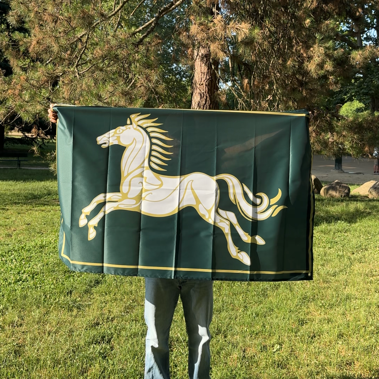 THE MARK Flag